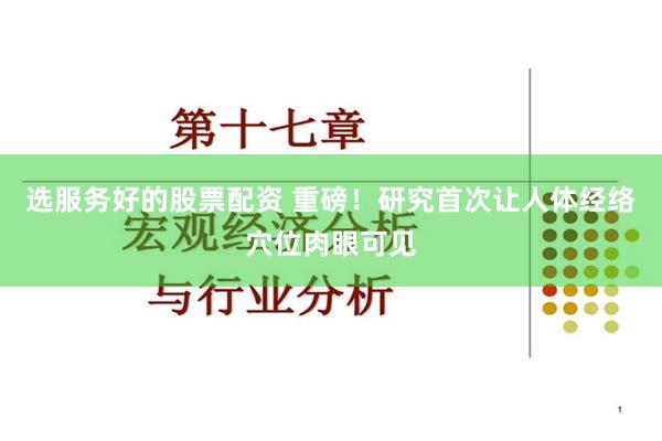选服务好的股票配资 重磅！研究首次让人体经络穴位肉眼可见