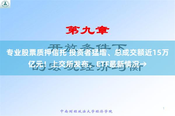 专业股票质押信托 投资者猛增、总成交额近15万亿元！上交所发布，ETF最新情况→