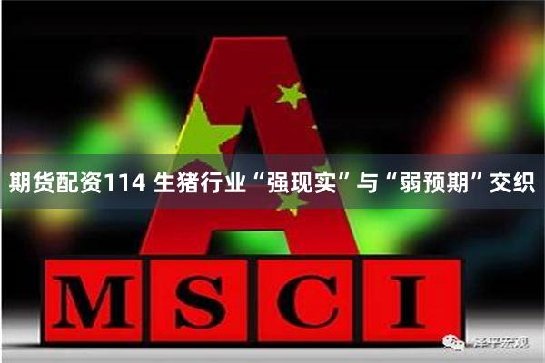 期货配资114 生猪行业“强现实”与“弱预期”交织