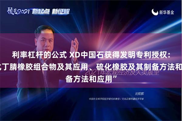 利率杠杆的公式 XD中国石获得发明专利授权：“氢化丁腈橡胶组合物及其应用、硫化橡胶及其制备方法和应用”