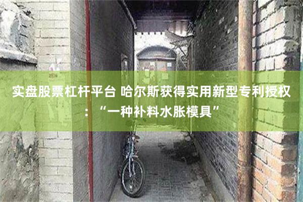 实盘股票杠杆平台 哈尔斯获得实用新型专利授权:“一种补料水胀模具”
