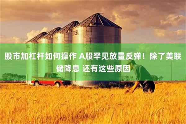 股市加杠杆如何操作 A股罕见放量反弹！除了美联储降息 还有这些原因