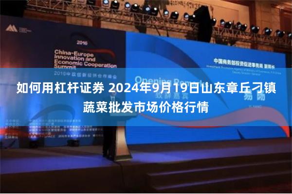 如何用杠杆证券 2024年9月19日山东章丘刁镇蔬菜批发市场价格行情