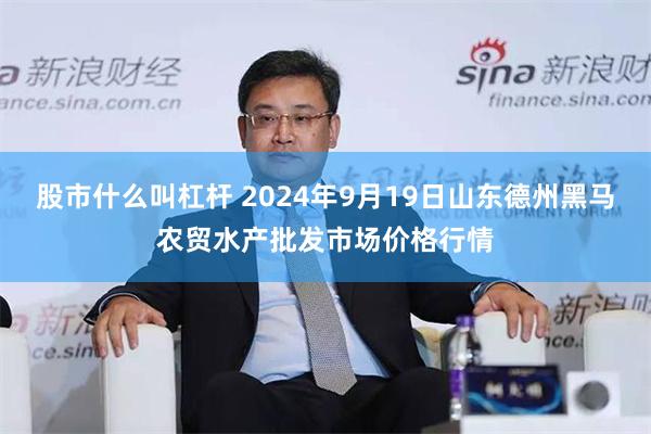 股市什么叫杠杆 2024年9月19日山东德州黑马农贸水产批发市场价格行情