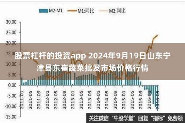 股票杠杆的投资app 2024年9月19日山东宁津县东崔蔬菜批发市场价格行情