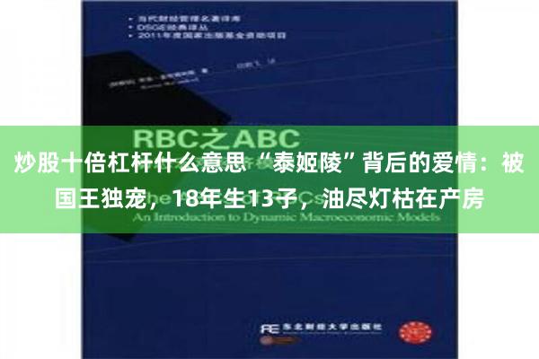 炒股十倍杠杆什么意思 “泰姬陵”背后的爱情：被国王独宠，18年生13子，油尽灯枯在产房