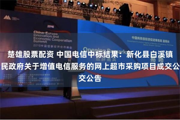 楚雄股票配资 中国电信中标结果：新化县白溪镇人民政府关于增值电信服务的网上超市采购项目成交公告
