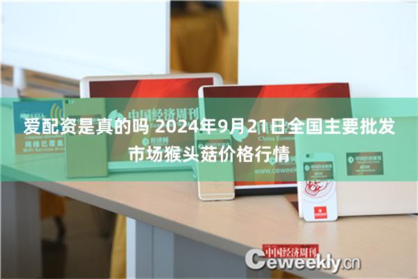 爱配资是真的吗 2024年9月21日全国主要批发市场猴头菇价格行情
