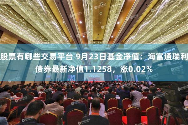 股票有哪些交易平台 9月23日基金净值：海富通瑞利债券最新净值1.1258，涨0.02%