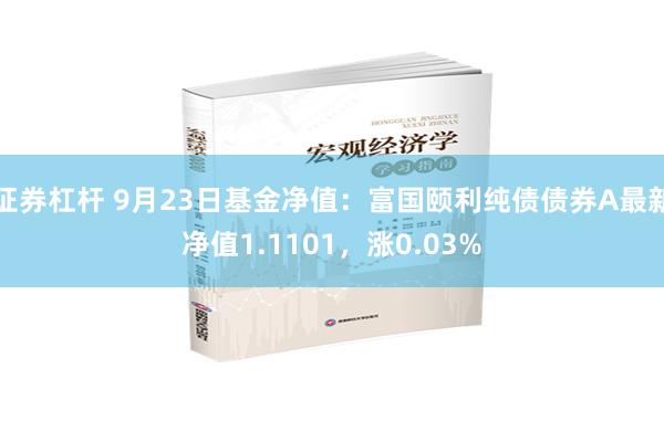 证券杠杆 9月23日基金净值：富国颐利纯债债券A最新净值1.1101，涨0.03%