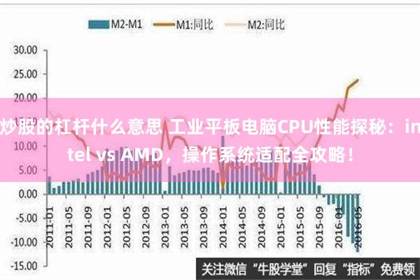 炒股的杠杆什么意思 工业平板电脑CPU性能探秘：intel vs AMD，操作系统适配全攻略！
