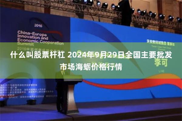 什么叫股票杆杠 2024年9月29日全国主要批发市场海蛎价格行情