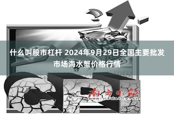 什么叫股市杠杆 2024年9月29日全国主要批发市场海水蟹价格行情