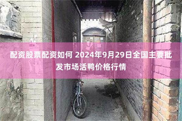 配资股票配资如何 2024年9月29日全国主要批发市场活鸭价格行情