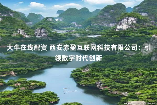 大牛在线配资 西安赤盈互联网科技有限公司：引领数字时代创新