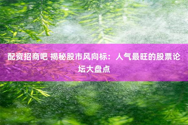 配资招商吧 揭秘股市风向标：人气最旺的股票论坛大盘点