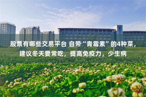 股票有哪些交易平台 自带“青霉素”的4种菜，建议冬天要常吃，提高免疫力，少生病