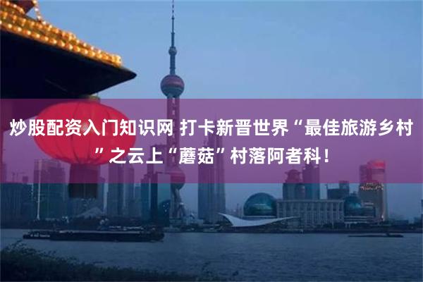 炒股配资入门知识网 打卡新晋世界“最佳旅游乡村”之云上“蘑菇”村落阿者科！