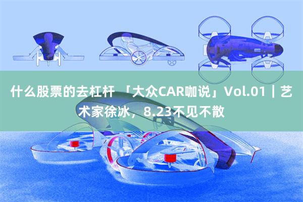 什么股票的去杠杆 「大众CAR咖说」Vol.01｜艺术家徐冰，8.23不见不散