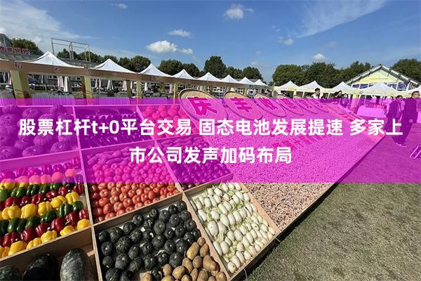 股票杠杆t+0平台交易 固态电池发展提速 多家上市公司发声加码布局