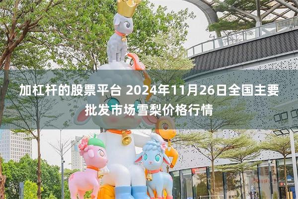 加杠杆的股票平台 2024年11月26日全国主要批发市场雪梨价格行情