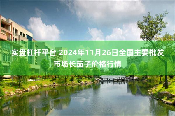 实盘杠杆平台 2024年11月26日全国主要批发市场长茄子价格行情