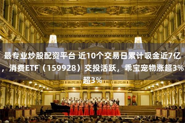 最专业炒股配资平台 近10个交易日累计吸金近7亿，消费ETF（159928）交投活跃，乖宝宠物涨超3%
