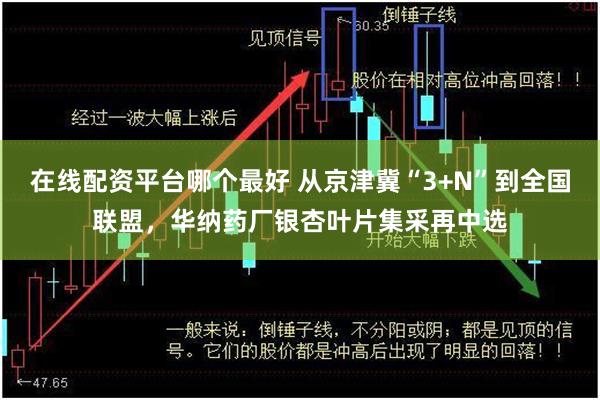 在线配资平台哪个最好 从京津冀“3+N”到全国联盟，华纳药厂银杏叶片集采再中选