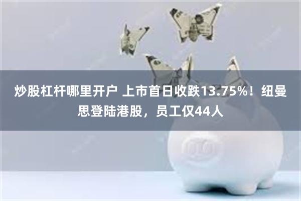 炒股杠杆哪里开户 上市首日收跌13.75%！纽曼思登陆港股，员工仅44人