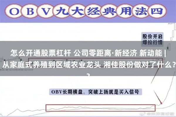怎么开通股票杠杆 公司零距离·新经济 新动能 | 从家庭式养殖到区域农业龙头 湘佳股份做对了什么？