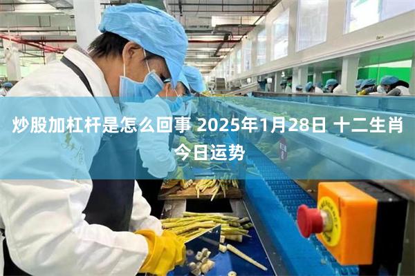 炒股加杠杆是怎么回事 2025年1月28日 十二生肖 今日运势