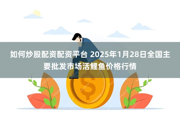 如何炒股配资配资平台 2025年1月28日全国主要批发市场活鲤鱼价格行情