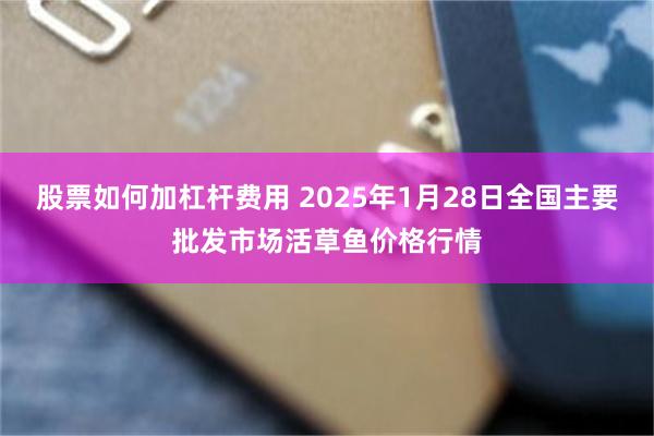 股票如何加杠杆费用 2025年1月28日全国主要批发市场活草鱼价格行情