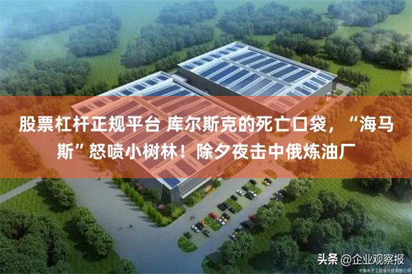 股票杠杆正规平台 库尔斯克的死亡口袋，“海马斯”怒喷小树林！除夕夜击中俄炼油厂
