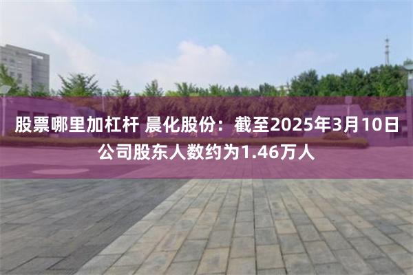 股票哪里加杠杆 晨化股份：截至2025年3月10日公司股东人数约为1.46万人