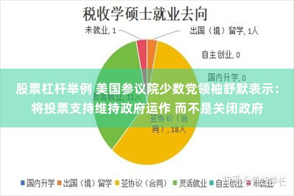 股票杠杆举例 美国参议院少数党领袖舒默表示：将投票支持维持政府运作 而不是关闭政府