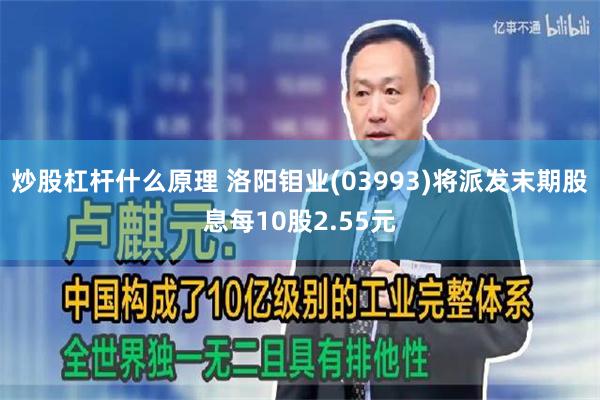 炒股杠杆什么原理 洛阳钼业(03993)将派发末期股息每10股2.55元