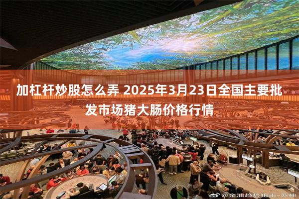 加杠杆炒股怎么弄 2025年3月23日全国主要批发市场猪大肠价格行情