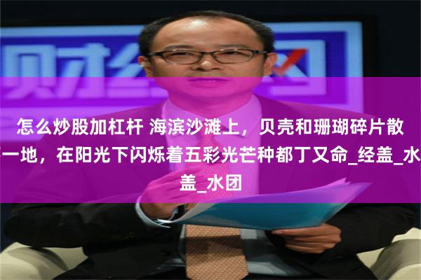 怎么炒股加杠杆 海滨沙滩上，贝壳和珊瑚碎片散落一地，在阳光下闪烁着五彩光芒种都丁又命_经盖_水团