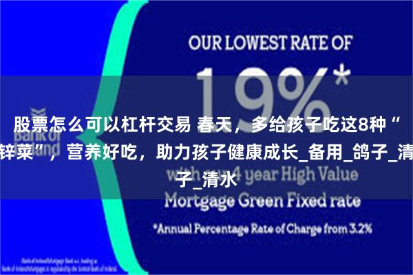 股票怎么可以杠杆交易 春天，多给孩子吃这8种“高锌菜”，营养好吃，助力孩子健康成长_备用_鸽子_清水