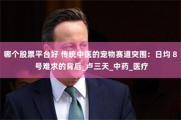 哪个股票平台好 传统中医的宠物赛道突围：日均 8 号难求的背后_卢三天_中药_医疗