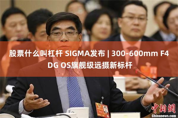 股票什么叫杠杆 SIGMA发布 | 300-600mm F4 DG OS旗舰级远摄新标杆