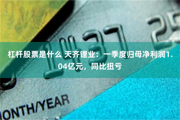 杠杆股票是什么 天齐锂业：一季度归母净利润1.04亿元，同比扭亏