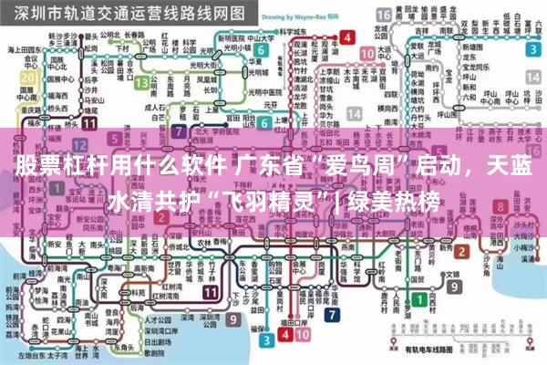 股票杠杆用什么软件 广东省“爱鸟周”启动，天蓝水清共护“飞羽精灵”| 绿美热榜