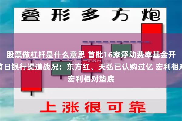 股票做杠杆是什么意思 首批16家浮动费率基金开售！首日银行渠道战况：东方红、天弘已认购过亿 宏利相对垫底