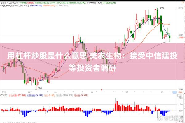 用杠杆炒股是什么意思 美农生物：接受中信建投等投资者调研