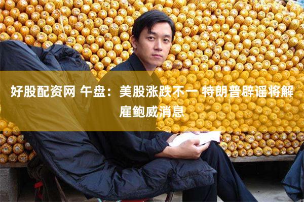 好股配资网 午盘：美股涨跌不一 特朗普辟谣将解雇鲍威消息
