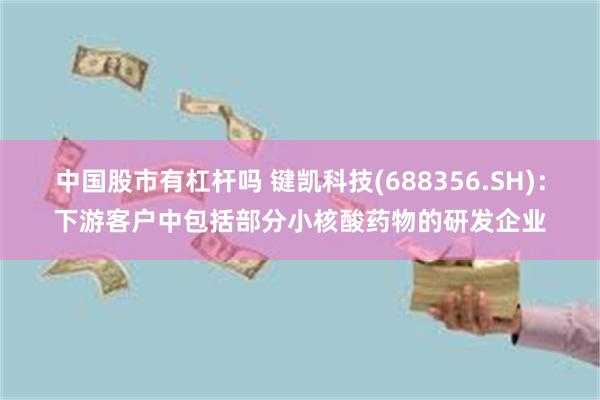中国股市有杠杆吗 键凯科技(688356.SH)：下游客户中包括部分小核酸药物的研发企业