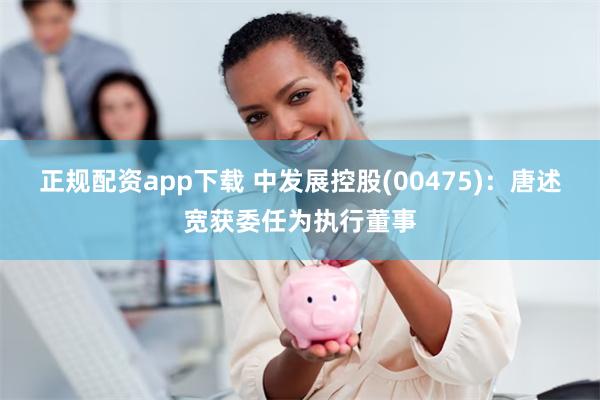 正规配资app下载 中发展控股(00475)：唐述宽获委任为执行董事