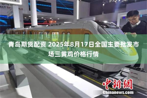青岛期货配资 2025年8月17日全国主要批发市场三黄鸡价格行情